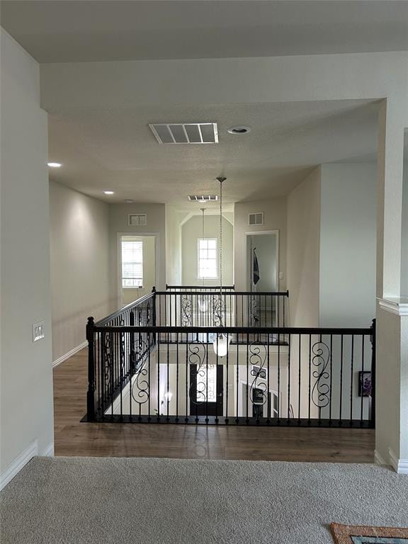 420 Windward Drive, Little Elm TX 75068 - Photo 19