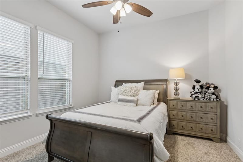 716 New Marion Road, Little Elm TX 75068 - Photo 19