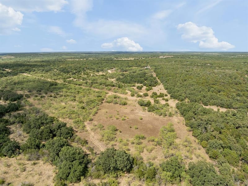 11097 County Road 137, Ranger TX 76470 - Photo 40