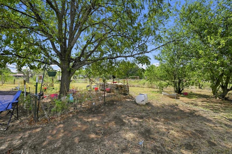 11097 County Road 137, Ranger TX 76470 - Photo 29