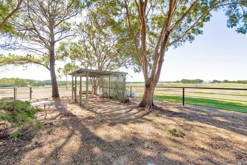 745 Winn Road, Bowie TX 76230 - Photo 28