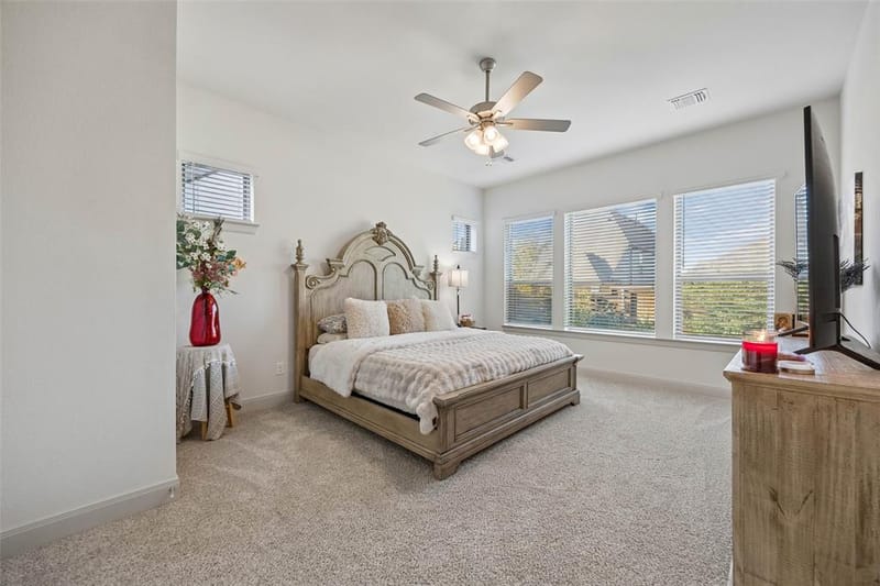 2546 Runhappy Court, Celina TX 75009 - Photo 13