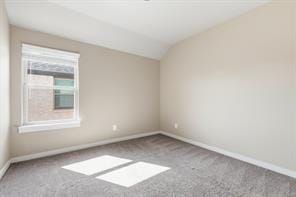 348 Braves Way, Lavon TX 75166 - Photo 24