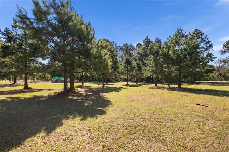 256 County Road 2749, Mineola TX 75773 - Photo 30