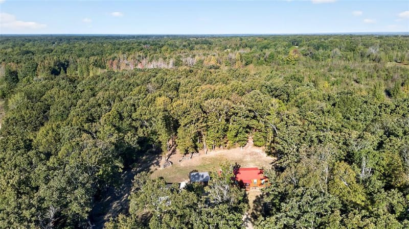 532 County Road 46650, Paris TX 75462 - Photo 10