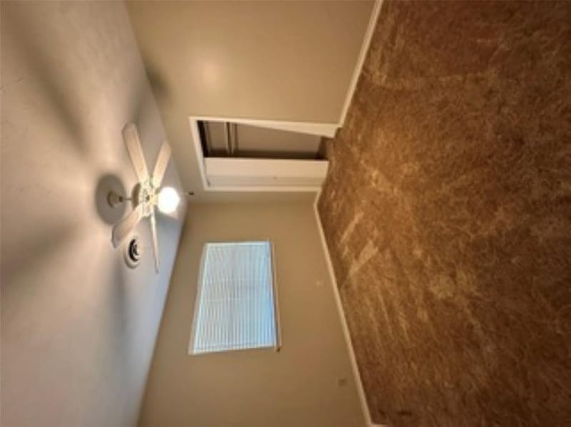 1101 Hillcrest, Denton TX 76201 - Photo 6
