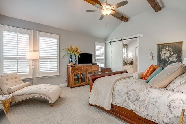 1314 Prestwick Court, Granbury TX 76048 - Photo 19