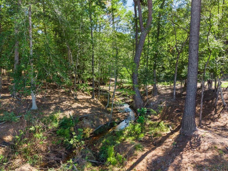 13127 S County Road 246, Arp TX 75750 - Photo 38