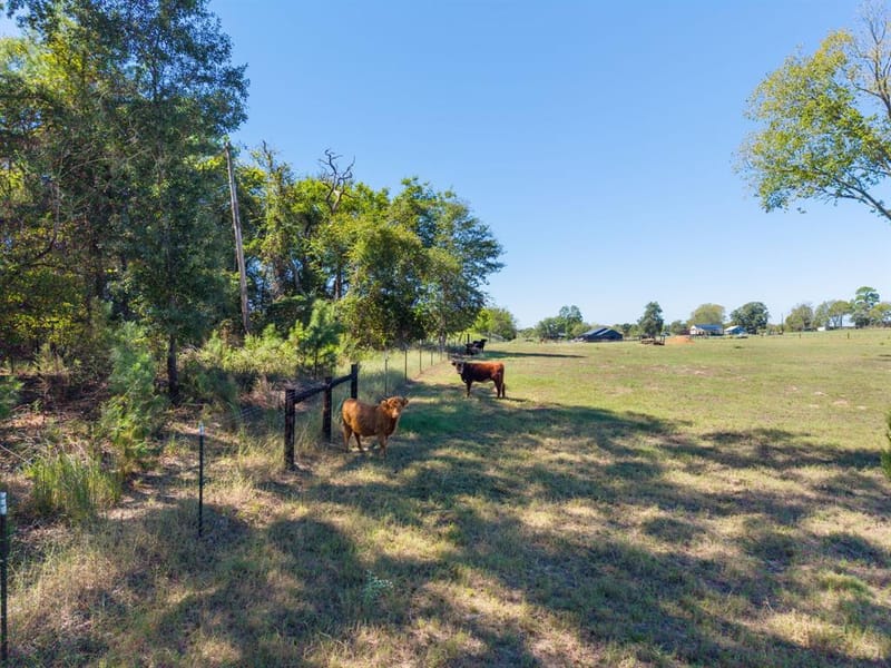 13127 S County Road 246, Arp TX 75750 - Photo 37