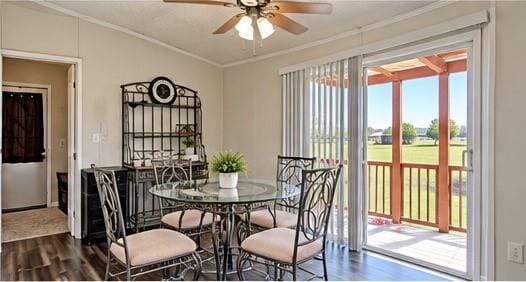 6305 Friesian Drive, Godley TX 76044 - Photo 7