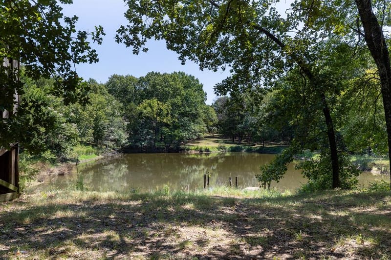330 Huts Crossing Road, Sadler TX 76264 - Photo 25