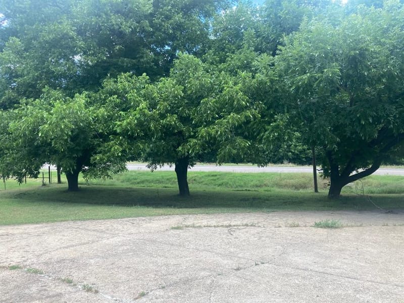 4527 Fm 219, Clifton TX 76634 - Photo 10