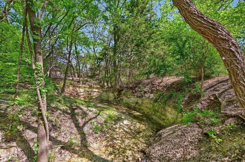 8515 COUNTRY CREEK Lane, Prosper TX 75078 - Photo 39