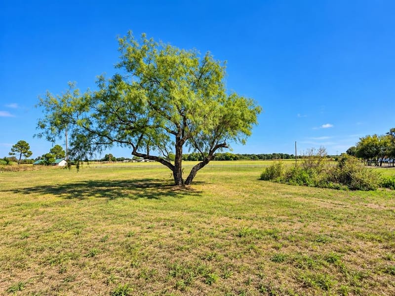 331 Hcr 2207, Aquilla TX 76622 - Photo 5