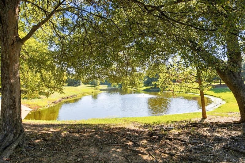 3001 Autumn Sage Trail, Flower Mound TX 75022 - Photo 33