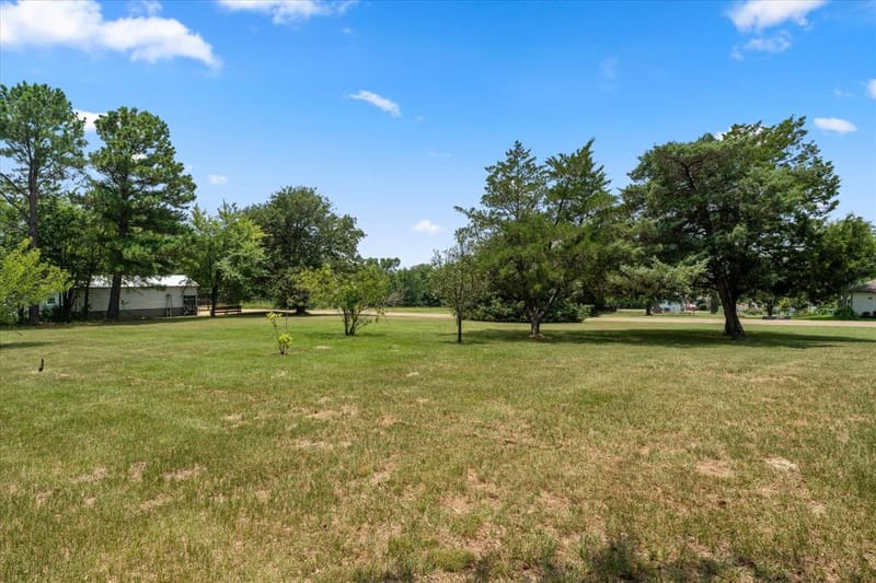 424 Lagoon Drive, Gun Barrel City TX 75156 - Photo 11