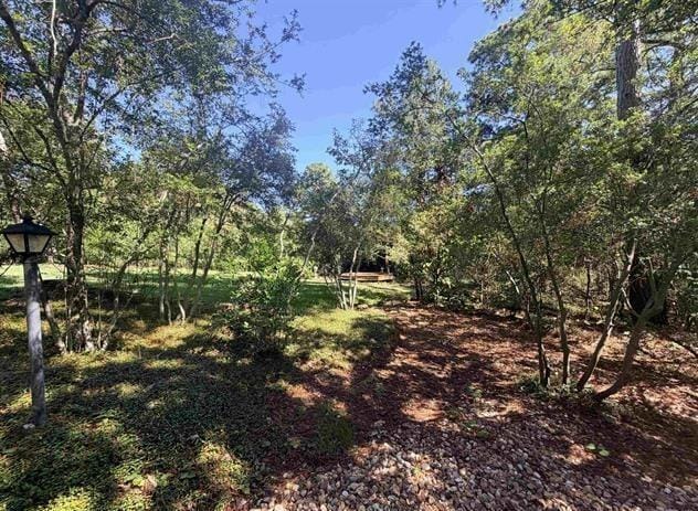 1205 Lake Cross Road, Hideaway TX 75771 - Photo 9