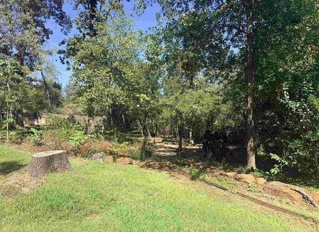 1205 Lake Cross Road, Hideaway TX 75771 - Photo 10
