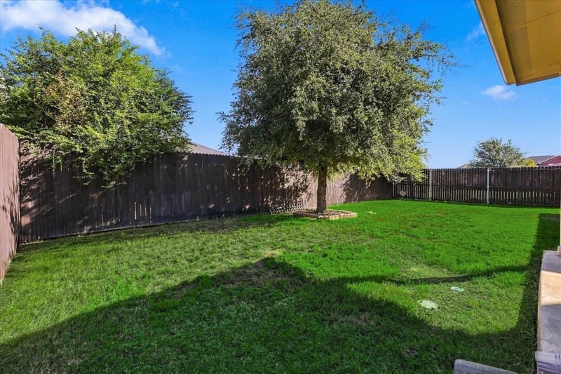 1301 Lasso Drive, Little Elm TX 75068 - Photo 35