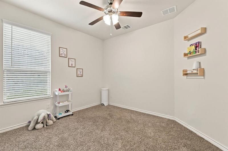 209 Tate Lane, Anna TX 75409 - Photo 21