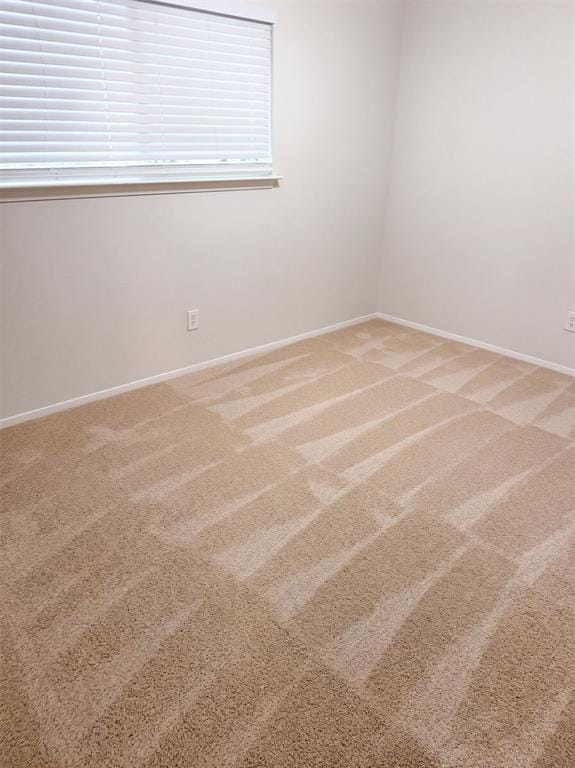3411 Halifax Drive, Arlington TX 76013 - Photo 12