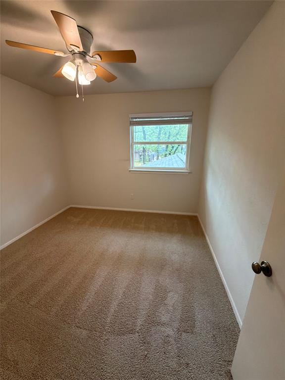 3411 Halifax Drive, Arlington TX 76013 - Photo 11