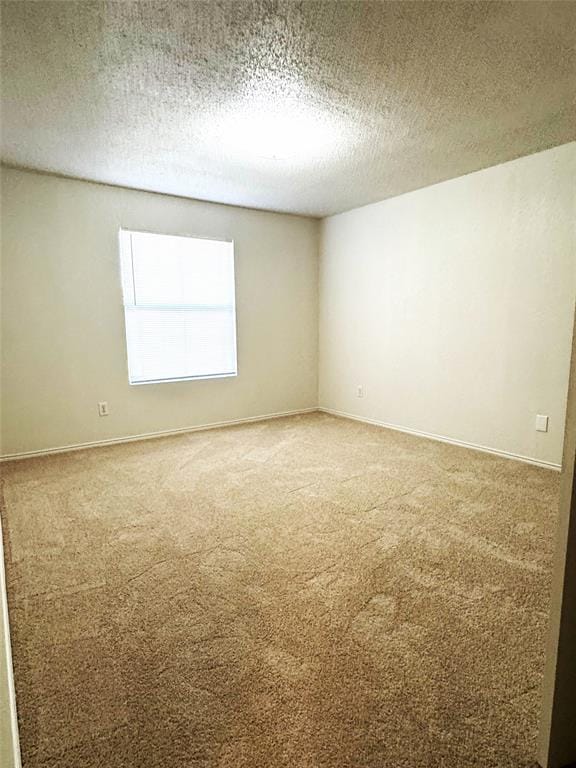 8737 Garden Springs Drive, Fort Worth TX 76123 - Photo 24