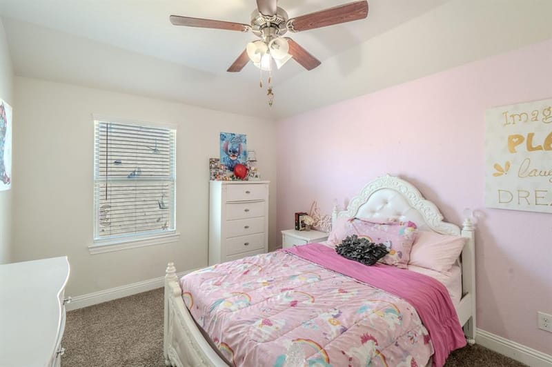 10808 Blaze Street, Aubrey TX 76227 - Photo 16