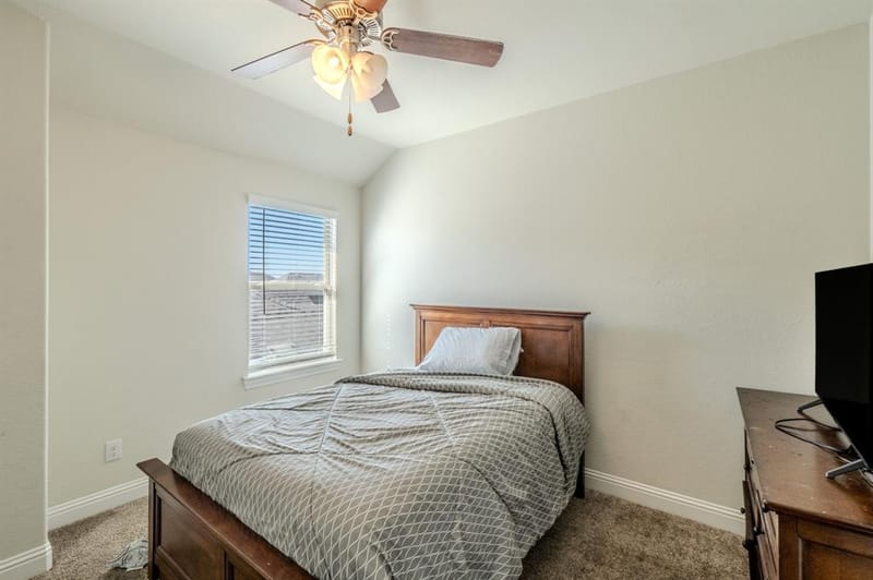 10808 Blaze Street, Aubrey TX 76227 - Photo 14