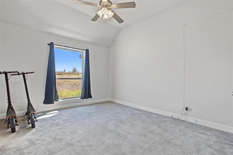 115 Chisum Drive, Millsap TX 76066 - Photo 20