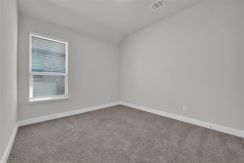 919 Hondo Lane, Mansfield TX 76063 - Photo 22