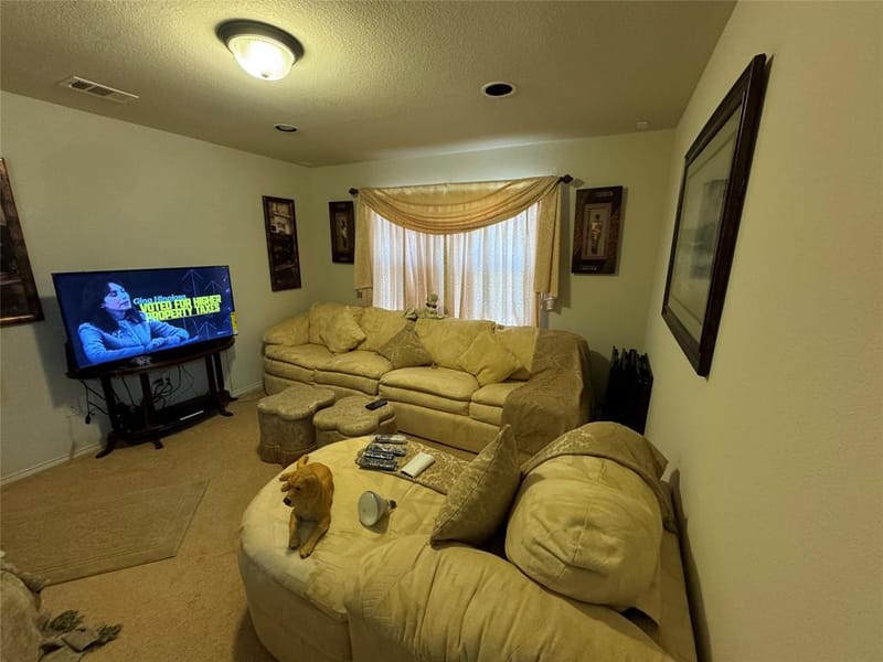 221 Blue Roan Drive, Waxahachie TX 75165 - Photo 11
