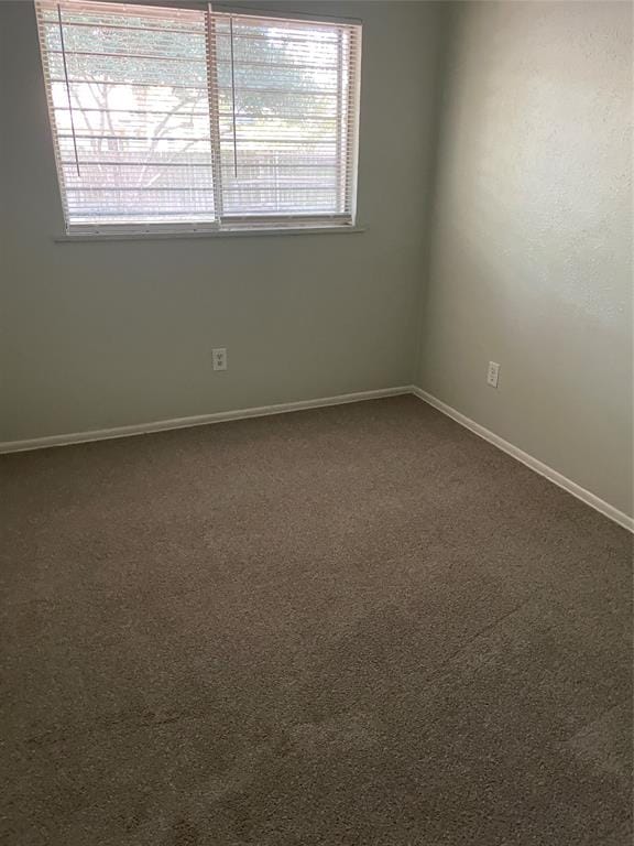 5113 Stagecoach Lane, Garland TX 75043 - Photo 6