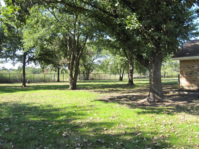 508 S Hovey Street, Chico TX 76431 - Photo 4