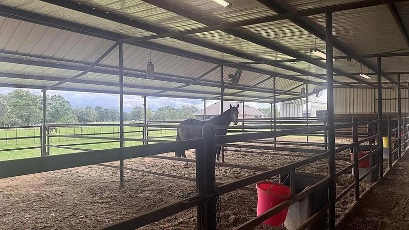 8850 Old Agnes Road, Poolville TX 76487 - Photo 19