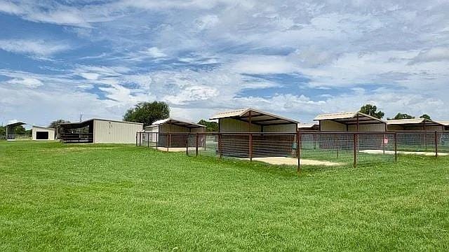 8850 Old Agnes Road, Poolville TX 76487 - Photo 21