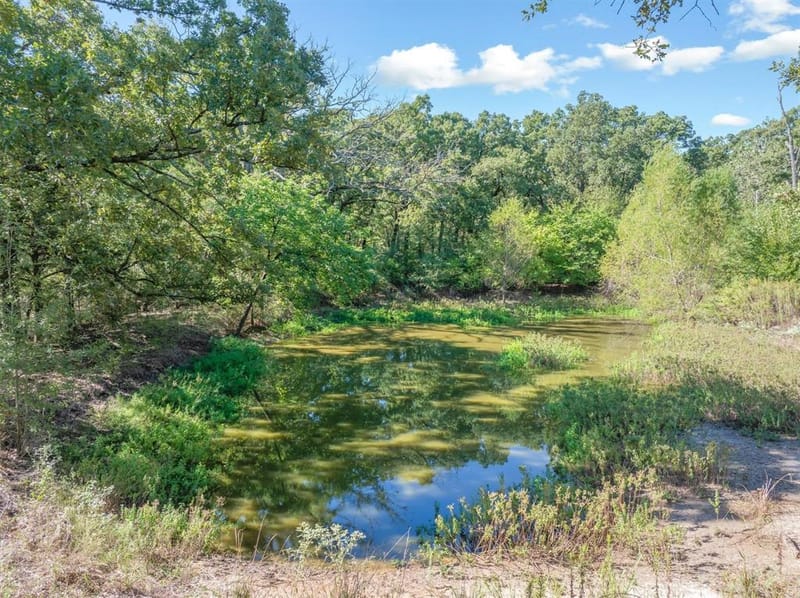 753 Vz County Road 3617, Edgewood TX 75117 - Photo 34