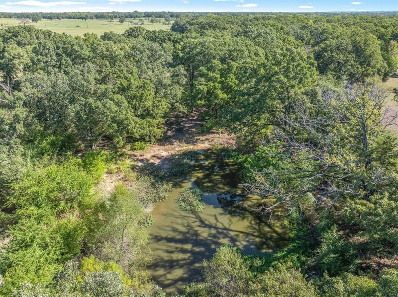 753 Vz County Road 3617, Edgewood TX 75117 - Photo 33