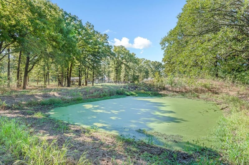 753 Vz County Road 3617, Edgewood TX 75117 - Photo 35