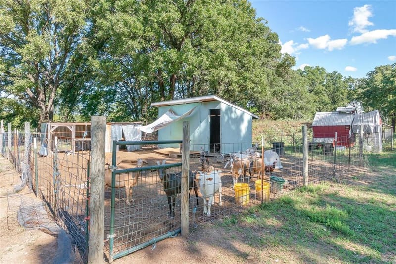 753 Vz County Road 3617, Edgewood TX 75117 - Photo 31