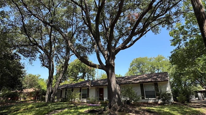 3543 Warick Drive, Dallas TX 75229 - Photo 9