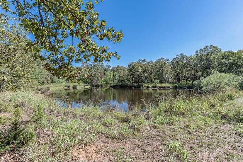 592 Rs County Road 1151, Emory TX 75440 - Photo 38