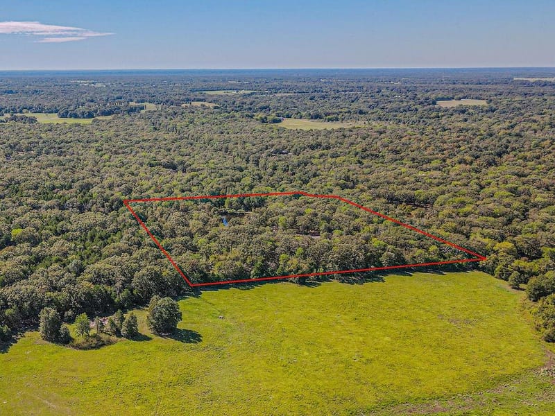 592 Rs County Road 1151, Emory TX 75440 - Photo 33