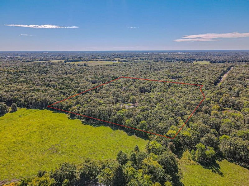 592 Rs County Road 1151, Emory TX 75440 - Photo 29