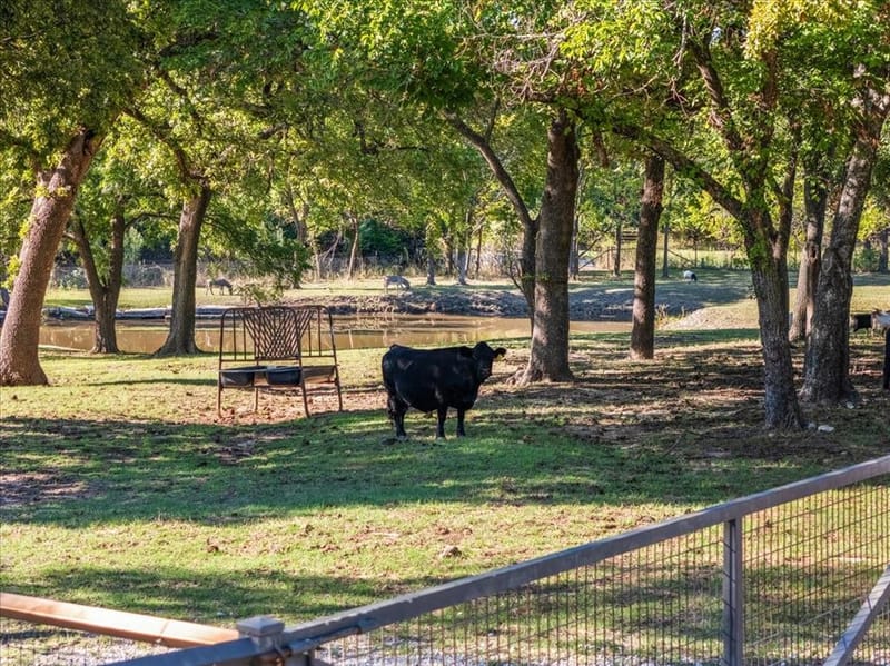 2405 Cold Springs Road, Weatherford TX 76088 - Photo 34
