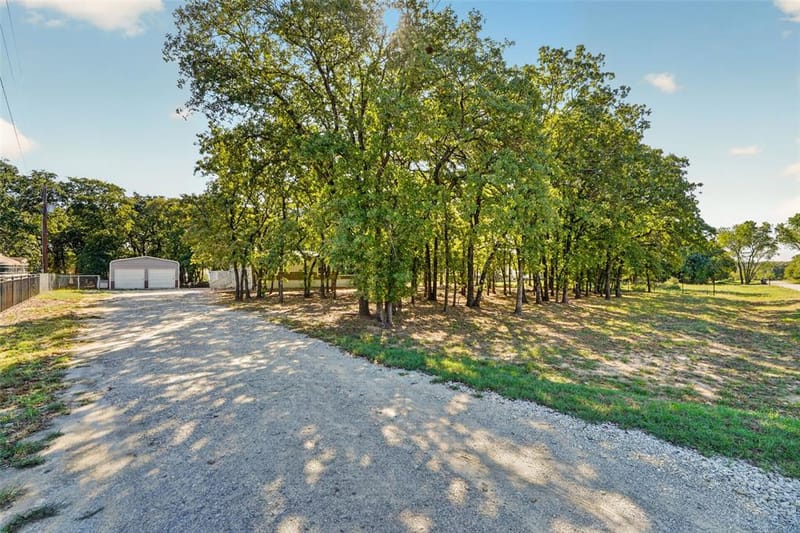 145 Adalida Lane, Springtown TX 76082 - Photo 9