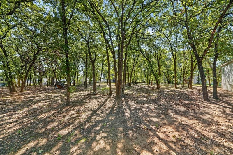145 Adalida Lane, Springtown TX 76082 - Photo 33