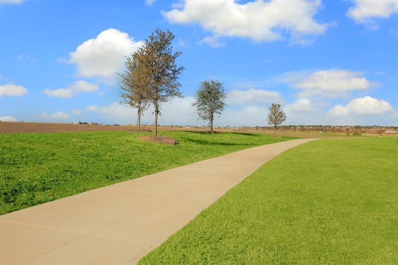 4372 Texas Sage Street, Joshua TX 76058 - Photo 10