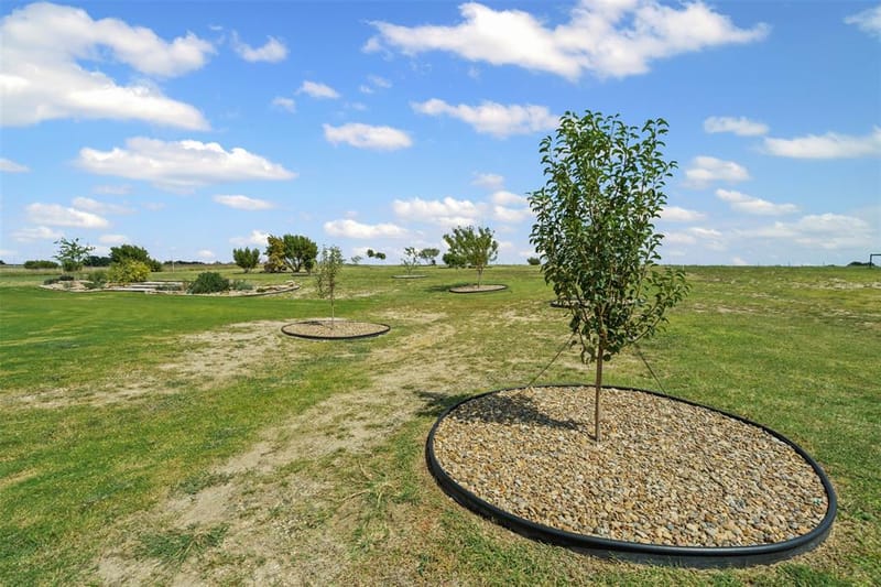 2045 Eagles Ridge Drive, Weatherford TX 76087 - Photo 27