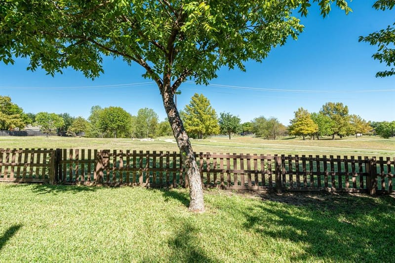 313 Mimosa Drive, Murphy TX 75094 - Photo 32